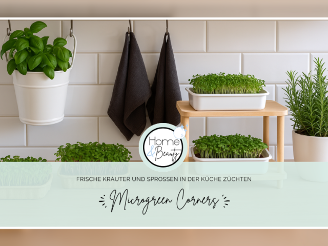 Microgreen Corners: Frische Kräuter und Sprossen in der Küche züchten
